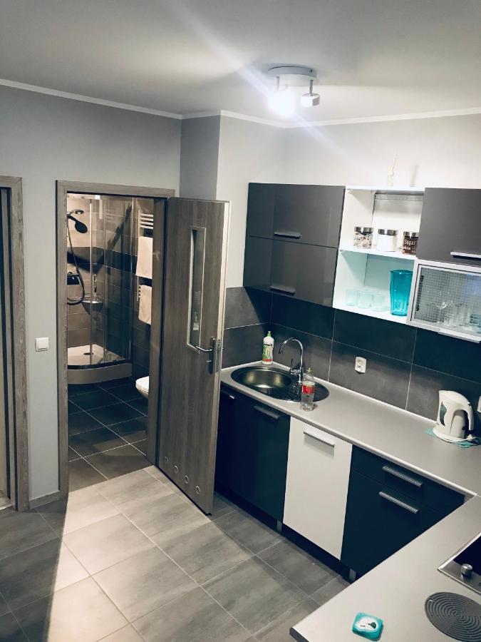 Apartament C18 Jelenia Góra Buitenkant foto