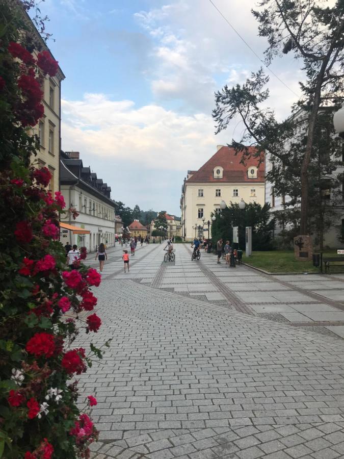 Apartament C18 Jelenia Góra Buitenkant foto